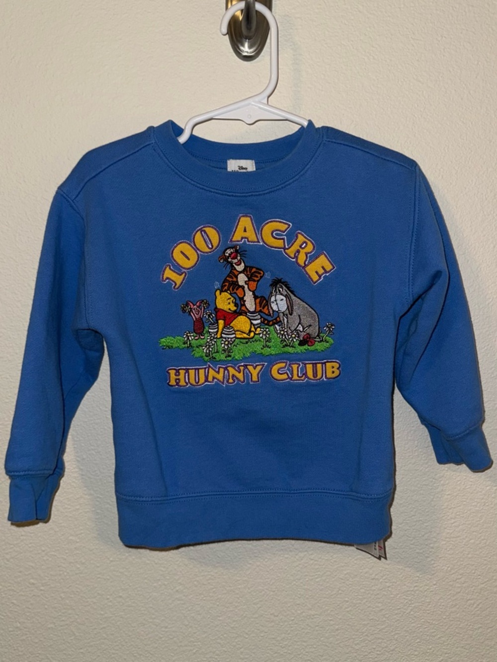 Disney Parks 100 Acre Hunny Club Kids Sweatshirt